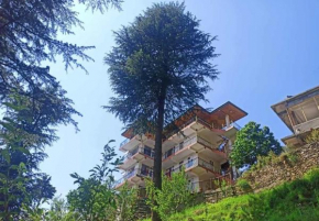 Hotels in Kotgarh